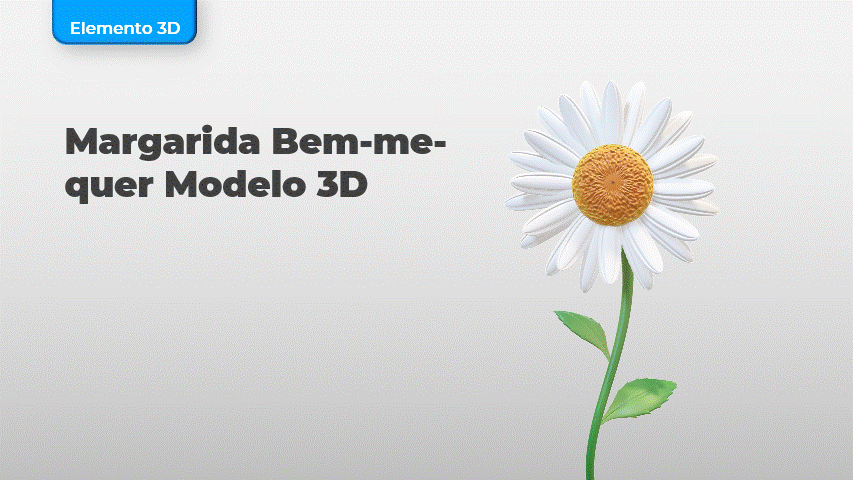 Margarida Bem-me-quer Modelo 3D
